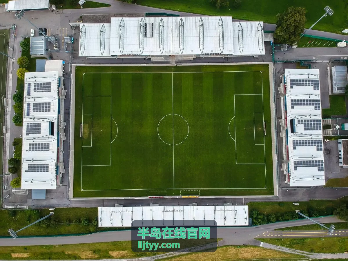半岛在线官网考前冲刺辅导服务